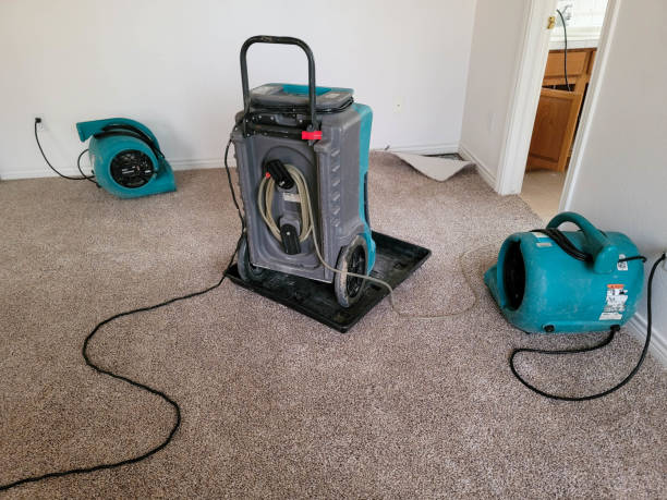 Sewage cleanup and water damage restoration in Walsenburg, CO