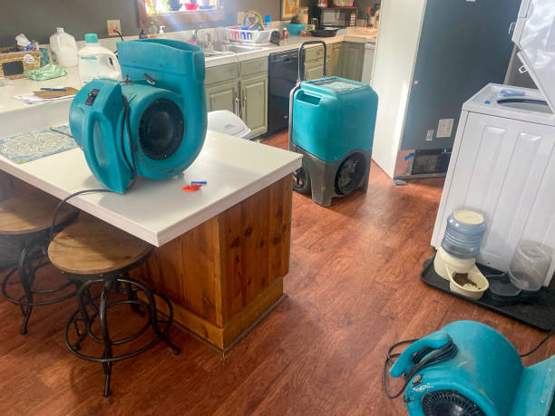 Best Fire Damage Restoration  in Walsenburg, CO