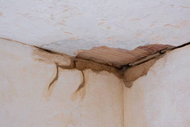 Best 24-hour water damage restoration  in Walsenburg, CO