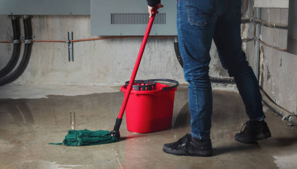 Best Ceiling water damage repair  in Walsenburg, CO