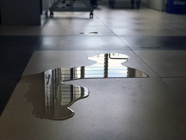 Best Water damage repair service  in Walsenburg, CO