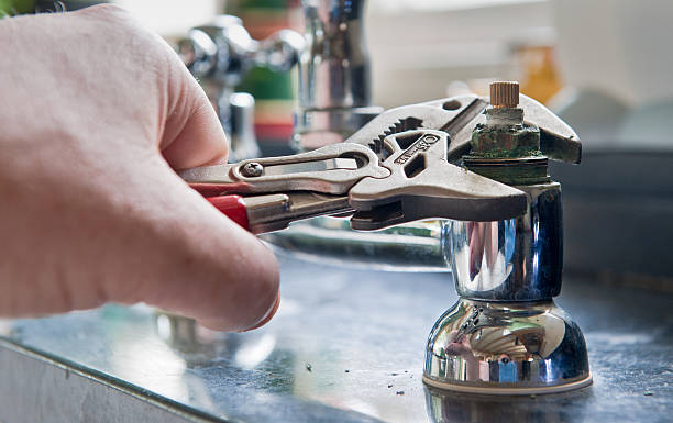 Best Flood damage cleanup  in Walsenburg, CO