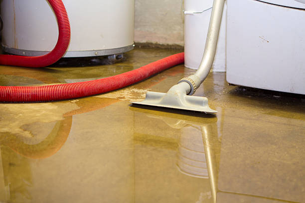 Best Emergency water damage restoration  in Walsenburg, CO