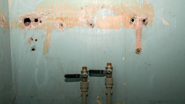 Best 24/7 water damage repair  in Walsenburg, CO