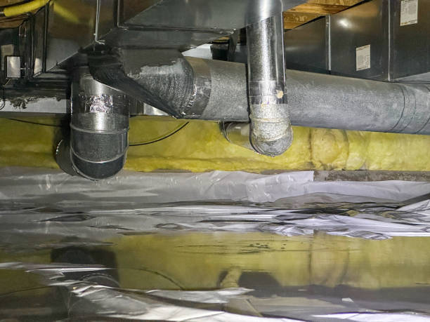 Water damage restoration mold remediation in Walsenburg, CO