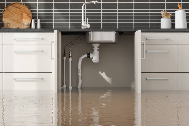 Best Basement water damage restoration  in Walsenburg, CO