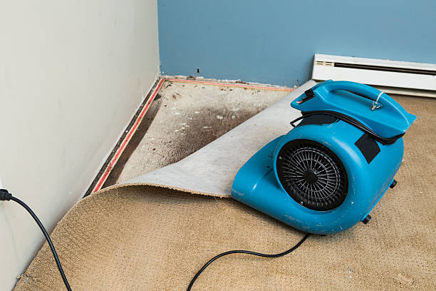 Best Basement water damage restoration  in Walsenburg, CO